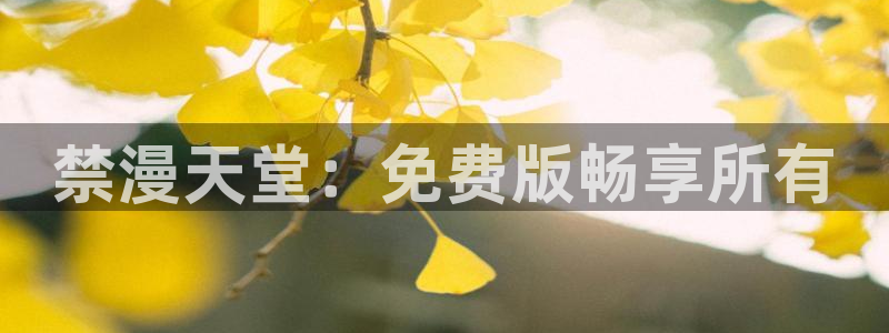 omofun在线观看：禁漫天堂：免费版畅享所有