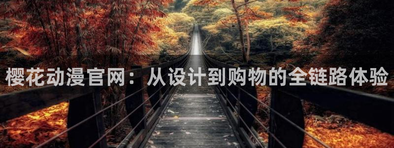 omofun轻量版：樱花动漫官网：从设计到购物的全链路体验