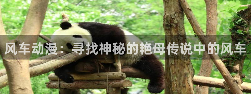 omofun动漫软件下载：风车动漫：寻找神秘的艳母传说中的风车