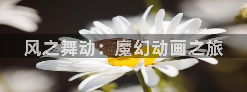 omofun动漫app下载：风之舞动：魔幻动画之旅