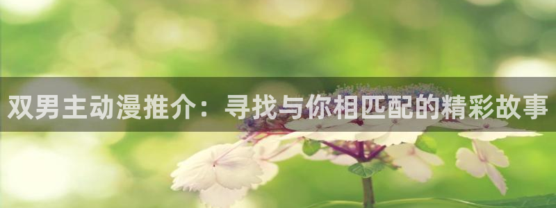 omofun免签：双男主动漫推介：寻找与你相匹配的精彩故事