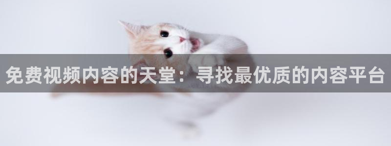 omofun网页版怎么没了：免费视频内容的天堂：寻找最优质的内容平台