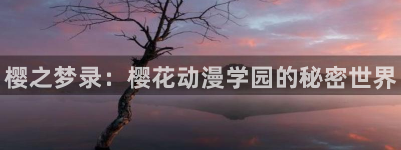 进入囧次元：樱之梦录：樱花动漫学园的秘密世界