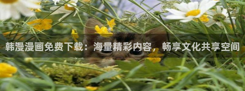 omofun苹果安装包：韩漫漫画免费下载：海量精彩内容，畅享文化共享空间