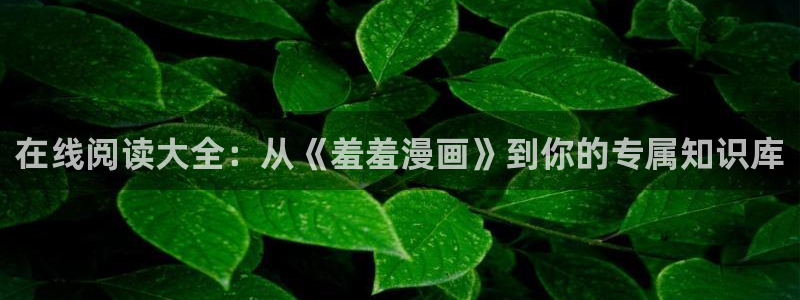 omofun 网站：在线阅读大全：从《羞羞漫画》到你的专属知识库