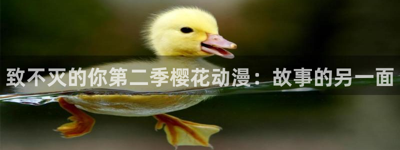 omofun电脑端：致不灭的你第二季樱花动漫：故事的另一面