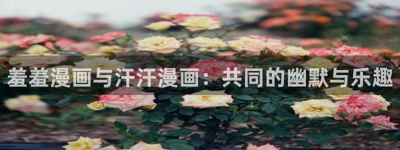 omofun怎么自签：羞羞漫画与汗汗漫画：共同的幽默与乐趣