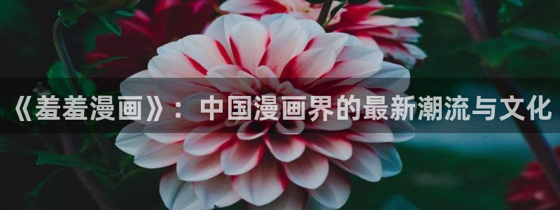 网页版omofun：《羞羞漫画》：中国漫画界的最新潮流与文化